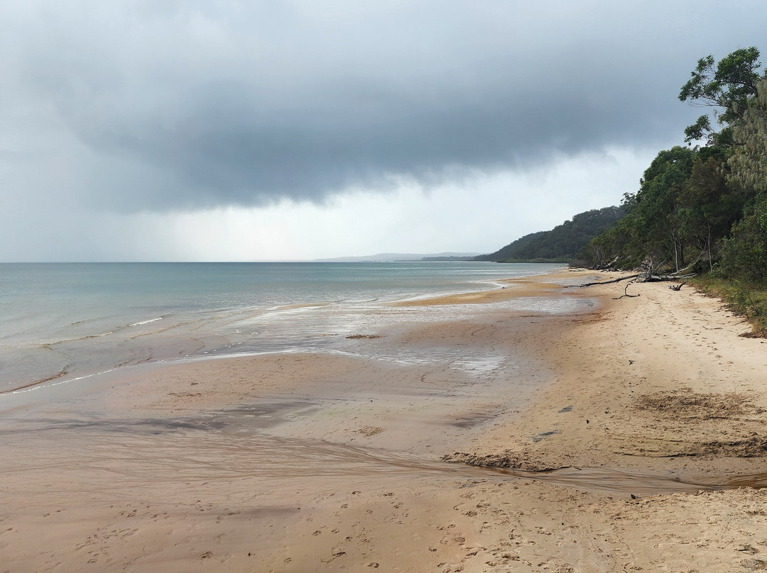 SeaLink K'gari (Fraser Island)景点图片