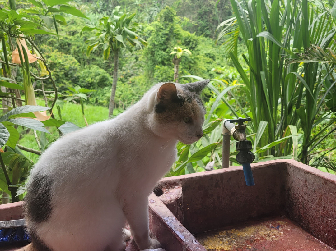 La Casa del Alto Tour Rural景点图片
