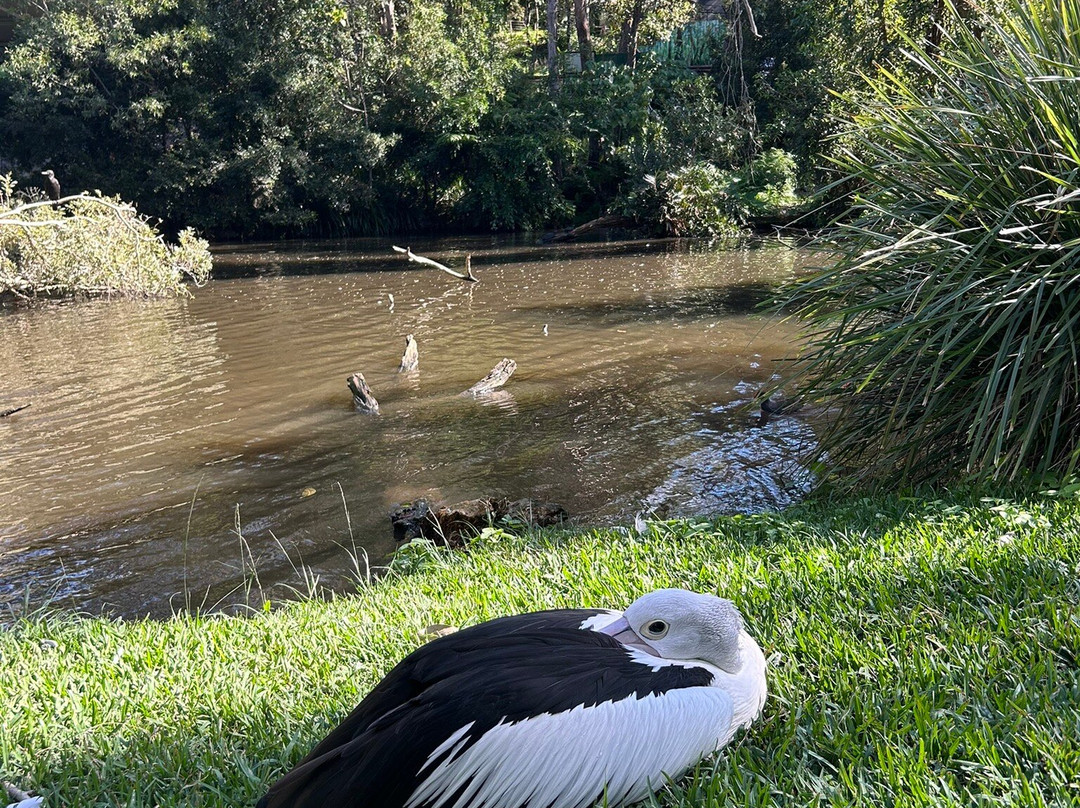David Fleay Wildlife Park-West Burleigh必去景点
