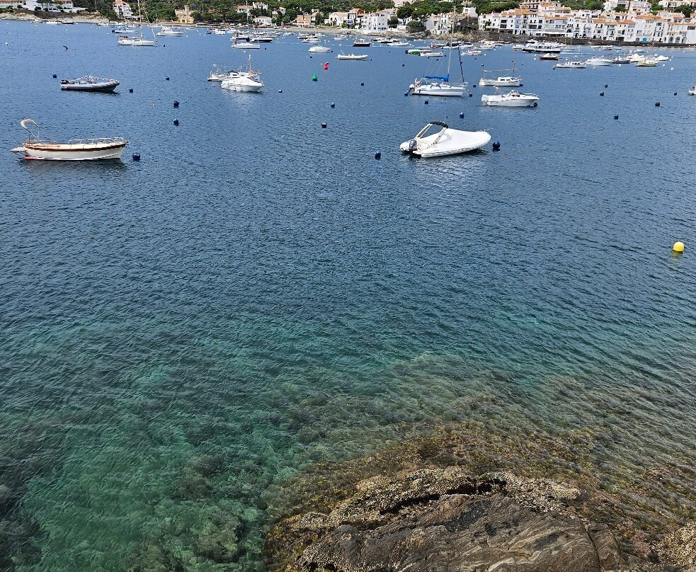 Platja del Ros景点图片
