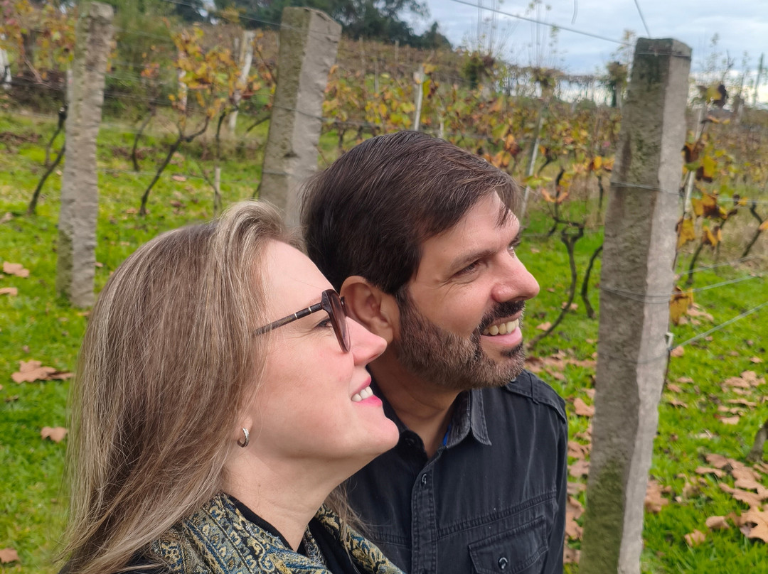 Vinhos Larentis景点图片