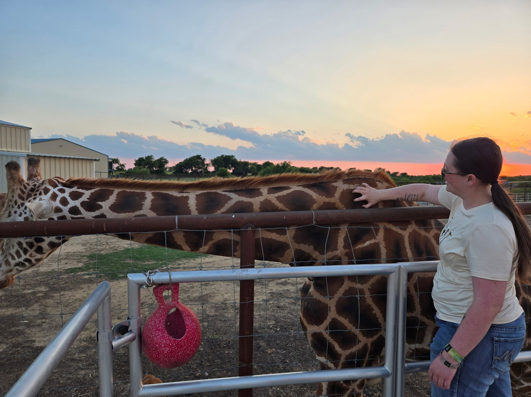 Blue Hills Ranch主图