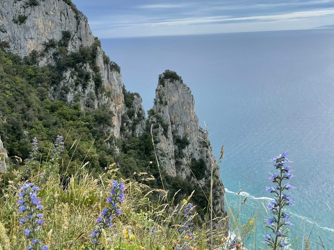 Faro del Caballo景点图片