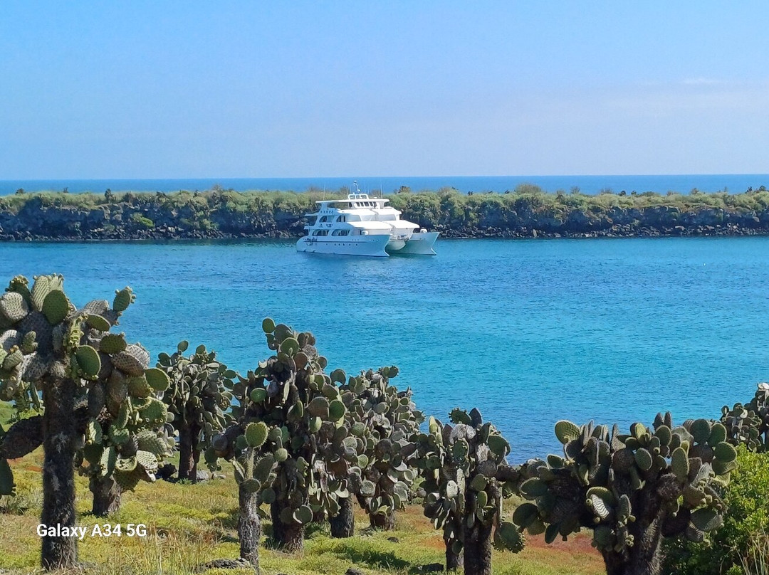 Costa Rica Focus景点图片