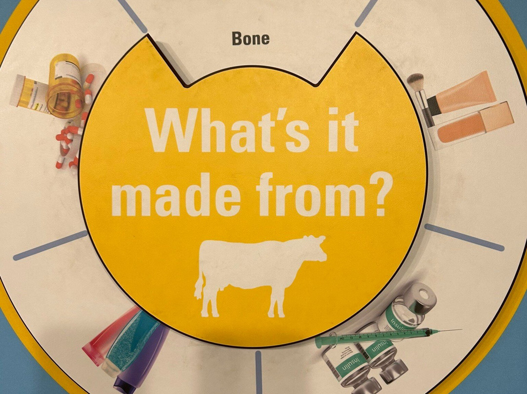 The MOOseum-蒙哥马利必去景点