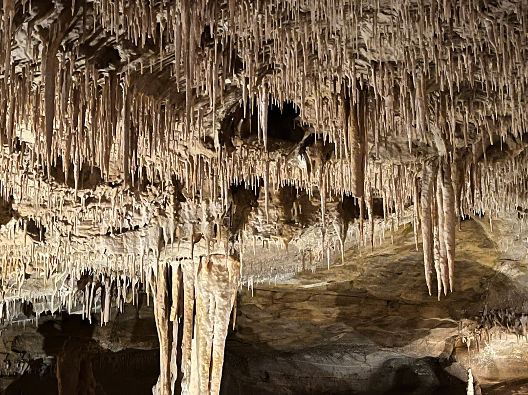 Grottes de Cougnac景点图片