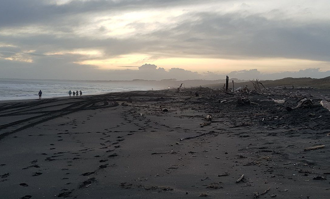 Castlecliff Beach景点图片