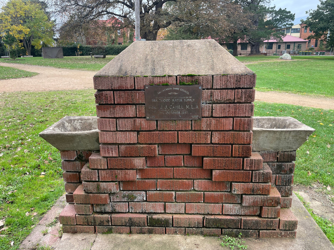 Braidwood Memorial Park景点图片
