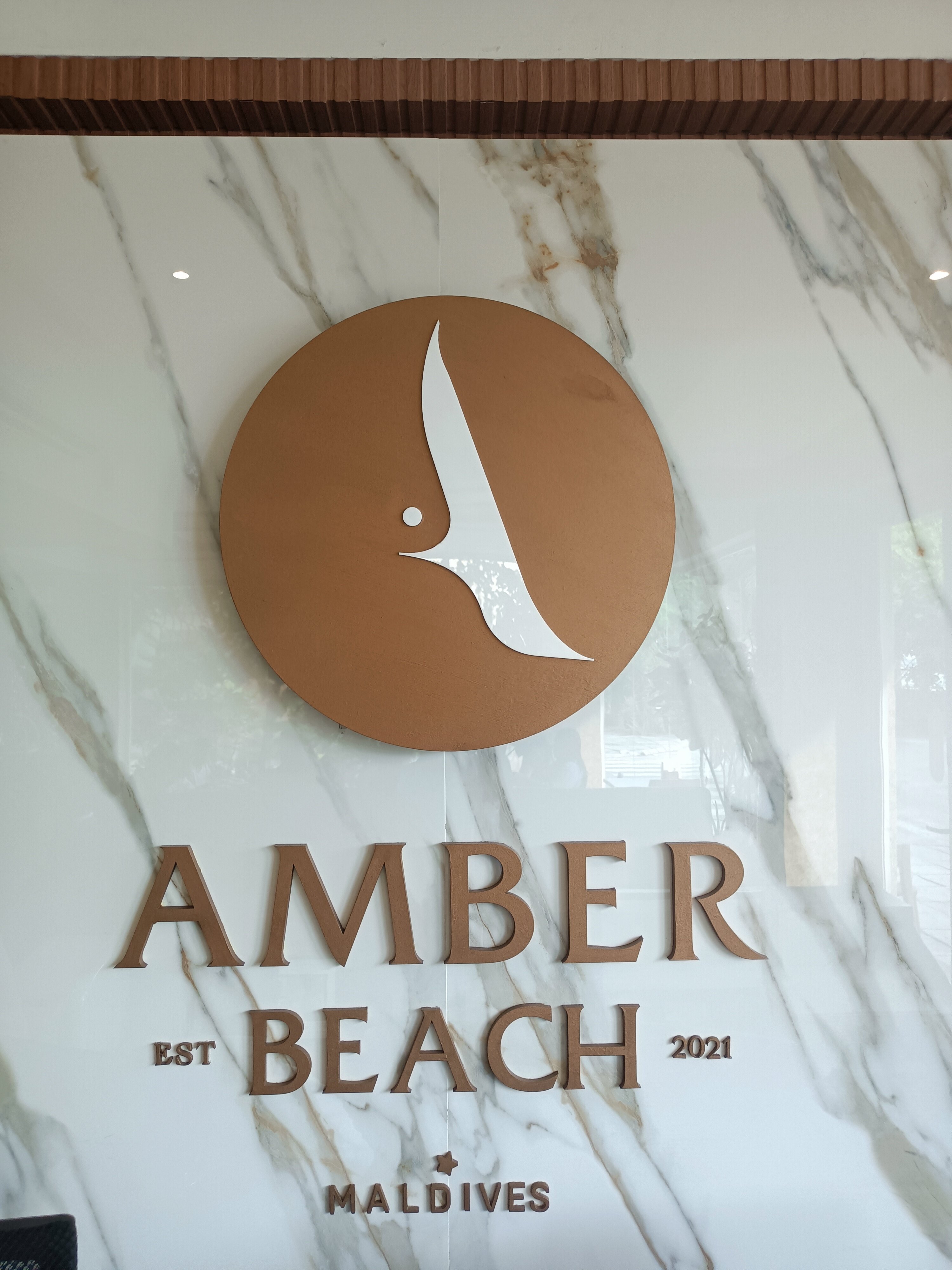 Amber Beach-官方