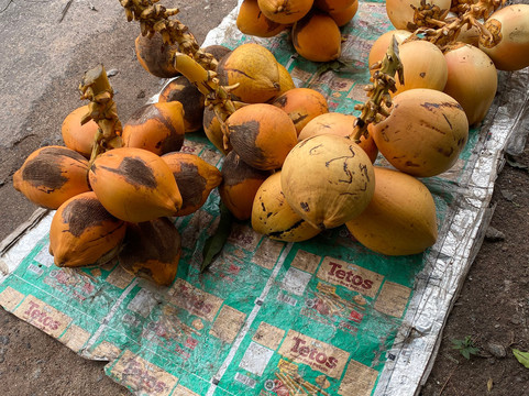 Fairceylon Holiday (pvt)ltd.-科伦坡必去景点