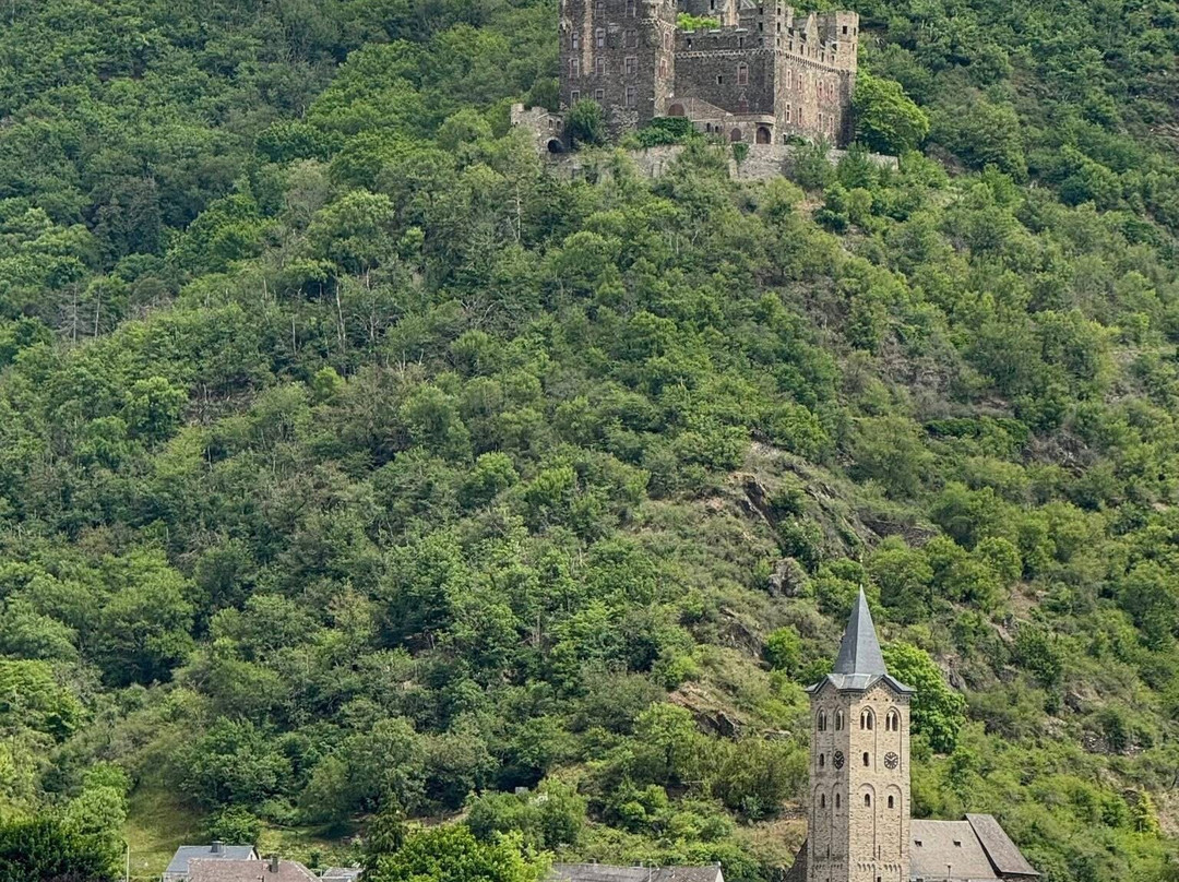 Viking River Cruises景点图片