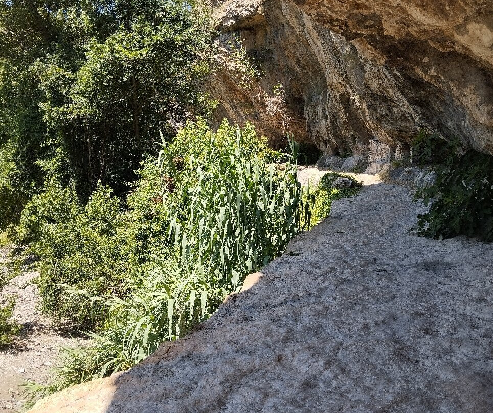 Le site cathare de Minerve-Minerve必去景点