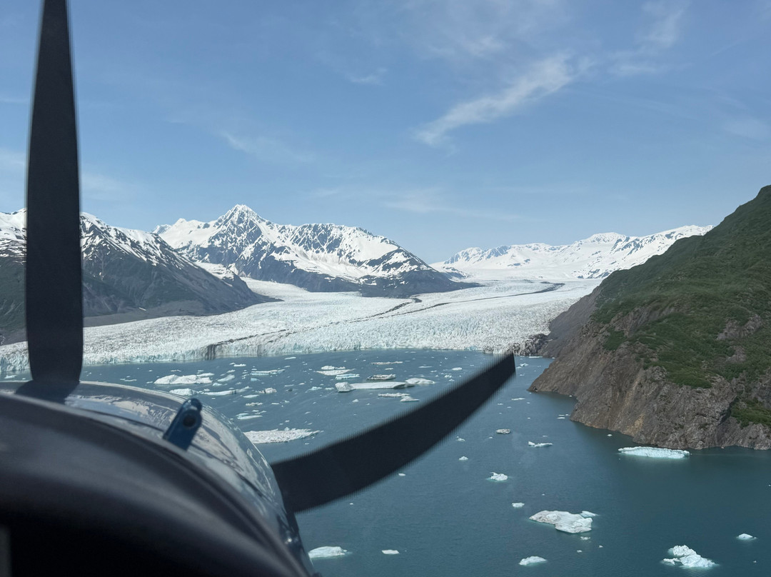 AA Seward Air Tours-苏厄德必去景点