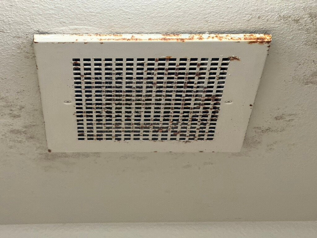 Baymont by Wyndham Fremont主图