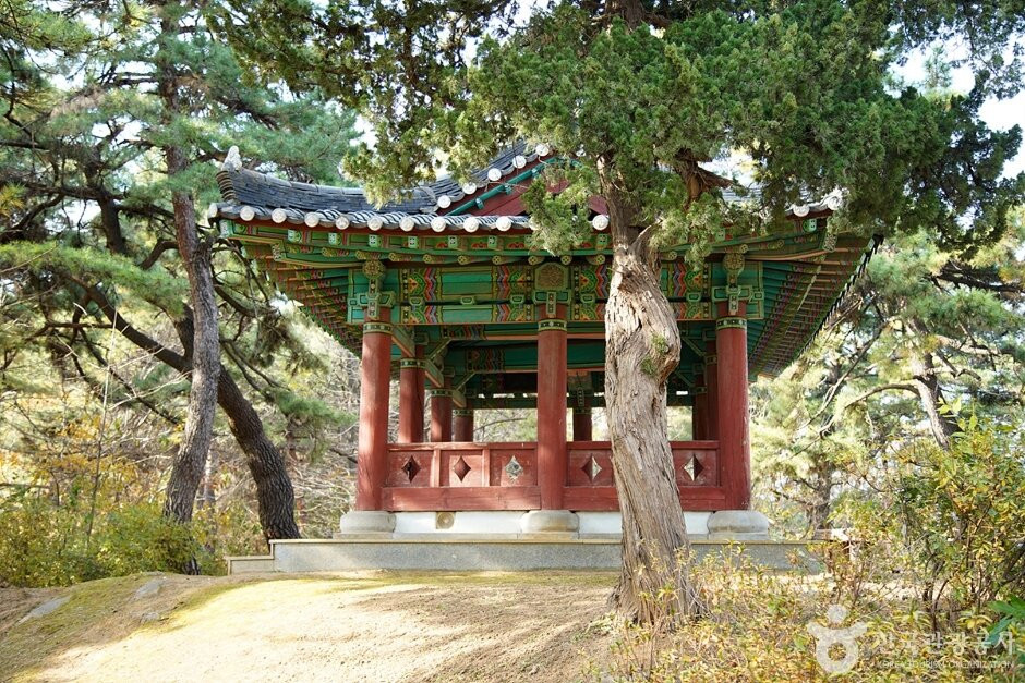 Mangyeongdae Pavilion-东海市必去景点