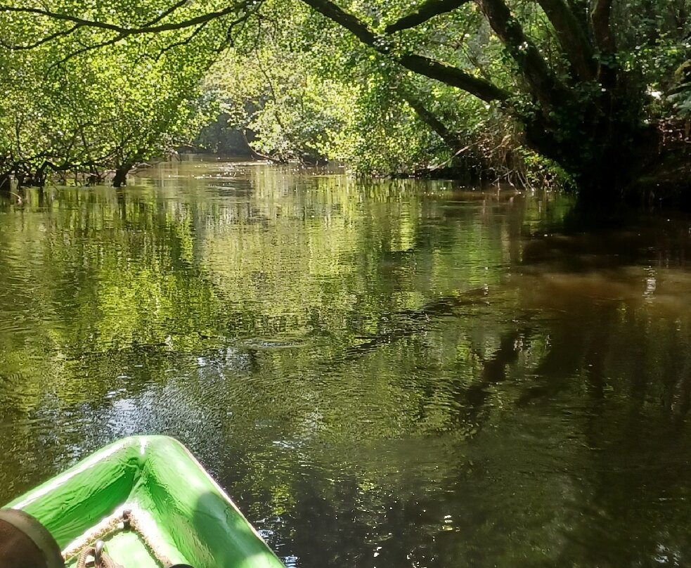 Le Courant d'Huchet-Leon必去景点