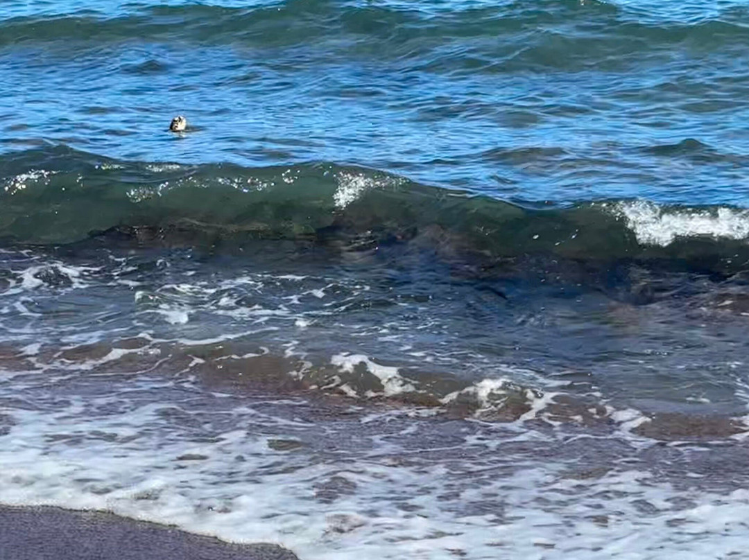 Oneuli Beach-维雷亚必去景点