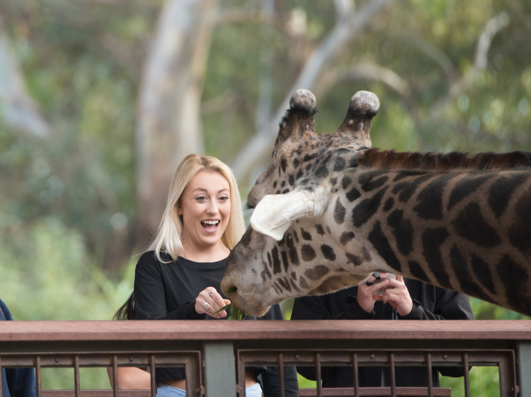 Sacramento Zoo-沙加缅度必去景点