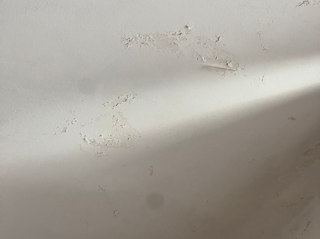 Hotel San Pietro Beach主图
