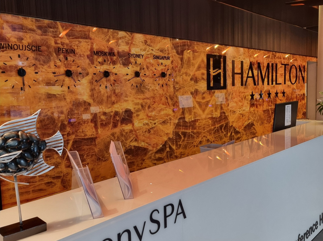 Hamilton Conference Hotel Spa & Wellness主图