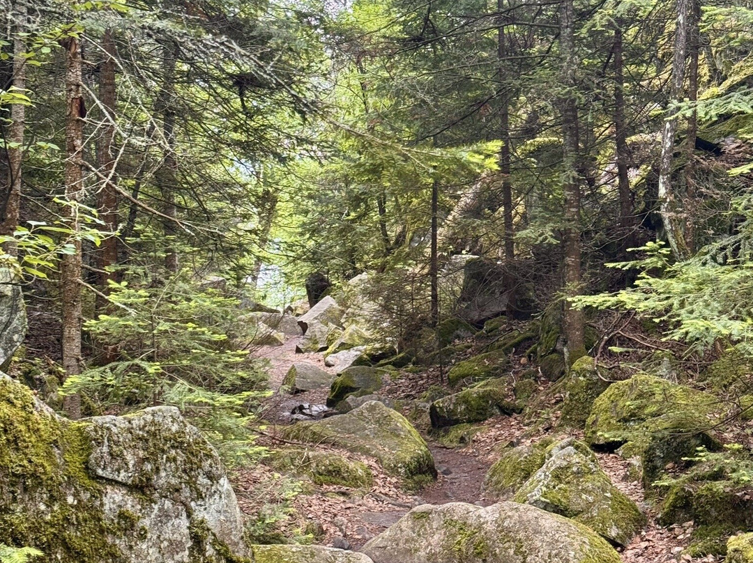 Agawa Rock Pictographs-Wawa必去景点