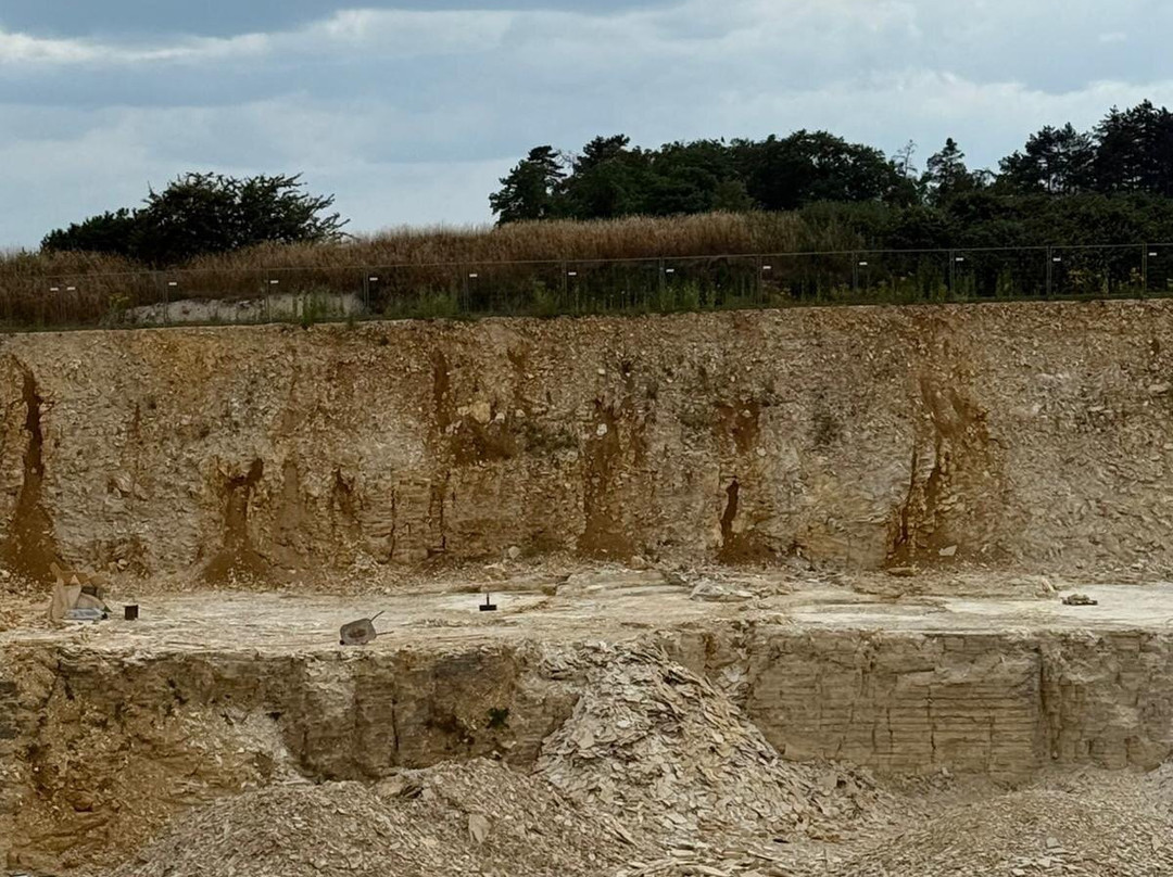 Fossiliensteinbruch Blumenberg-艾希施泰特必去景点