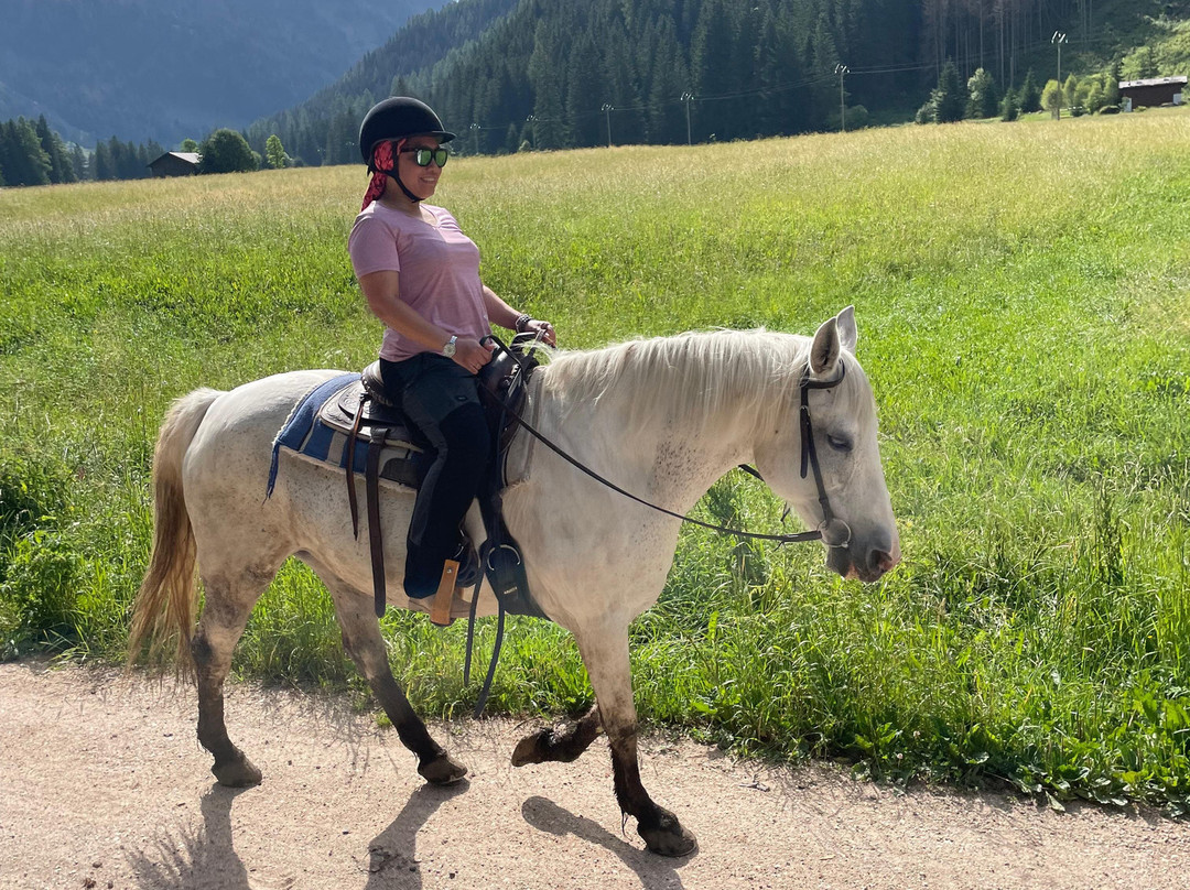 Charlotte Horse Riding-Campitello di Fassa必去景点