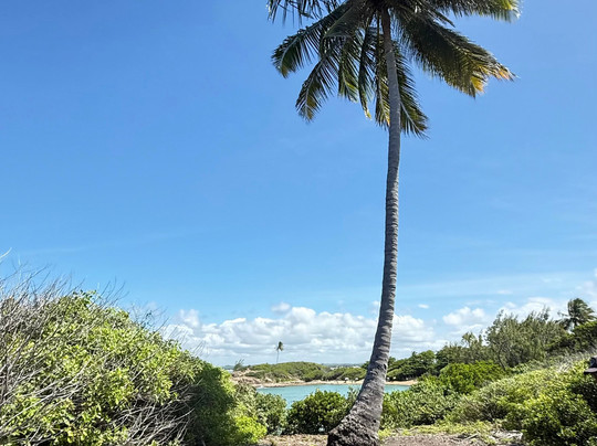 Rota do Sol-嘎林海斯港必去景点