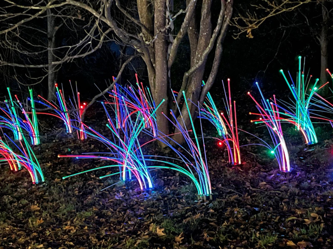 Light Up Trails-罗姆西必去景点