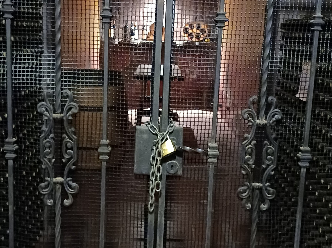 Bodega Artesanal Vina el Cerno-Maipu必去景点