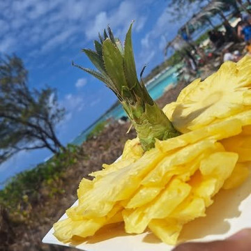 King Cruise-大湾必去景点