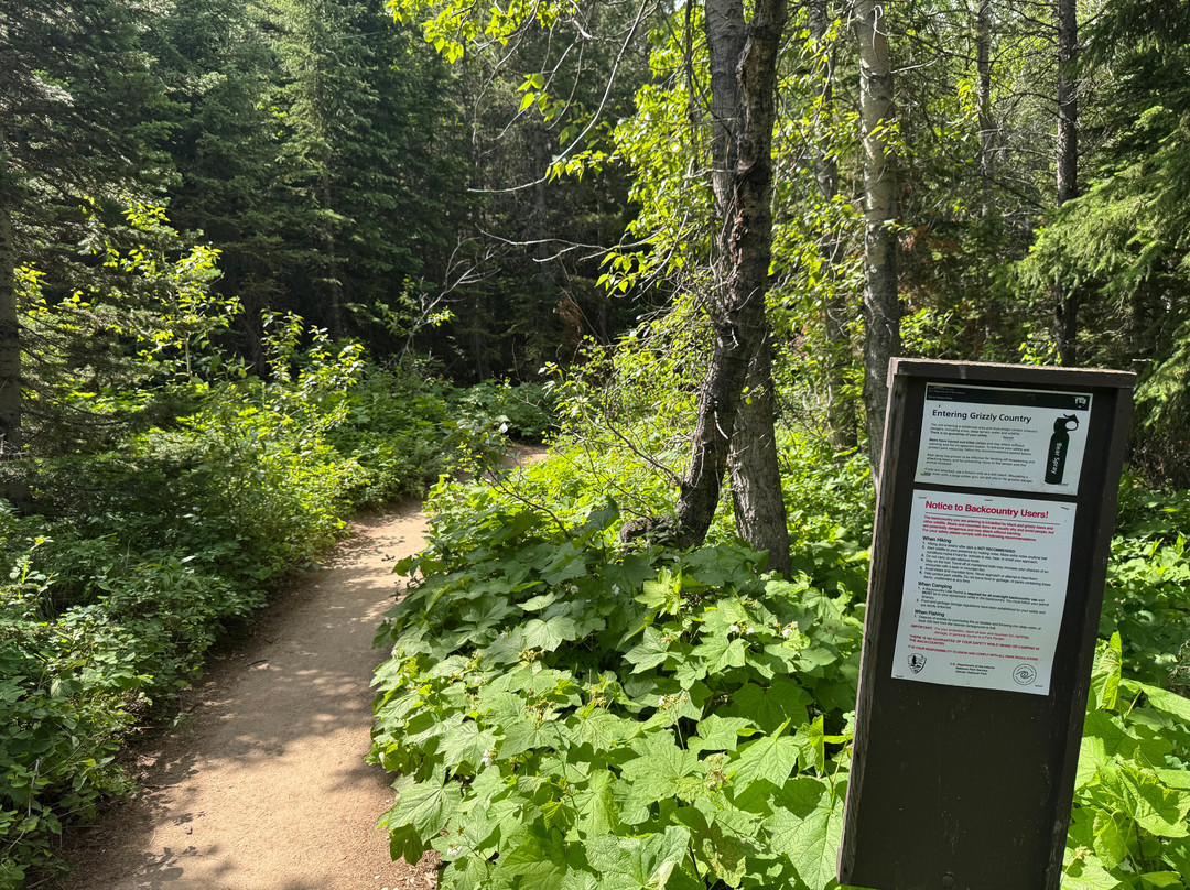 Swiftcurrent Lake Nature Trail