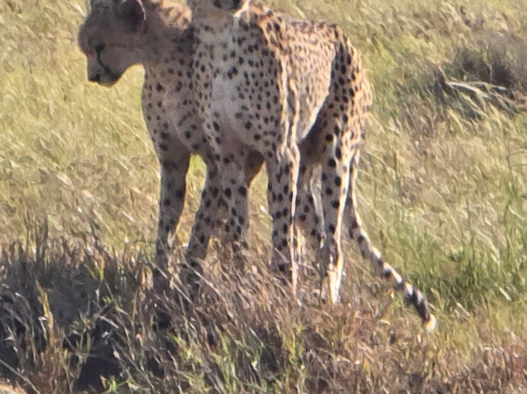 Activentures Africa Safaris-坎帕拉必去景点