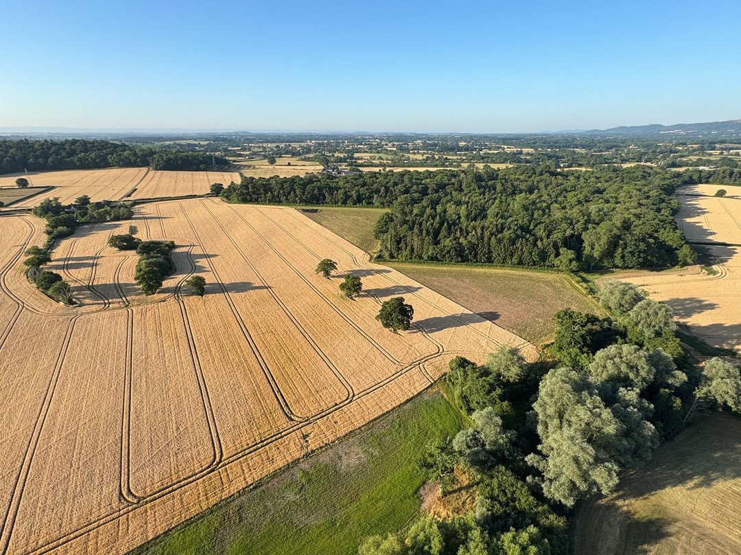 Virgin Balloon Flights - Worcester Racecourse-伍斯特必去景点