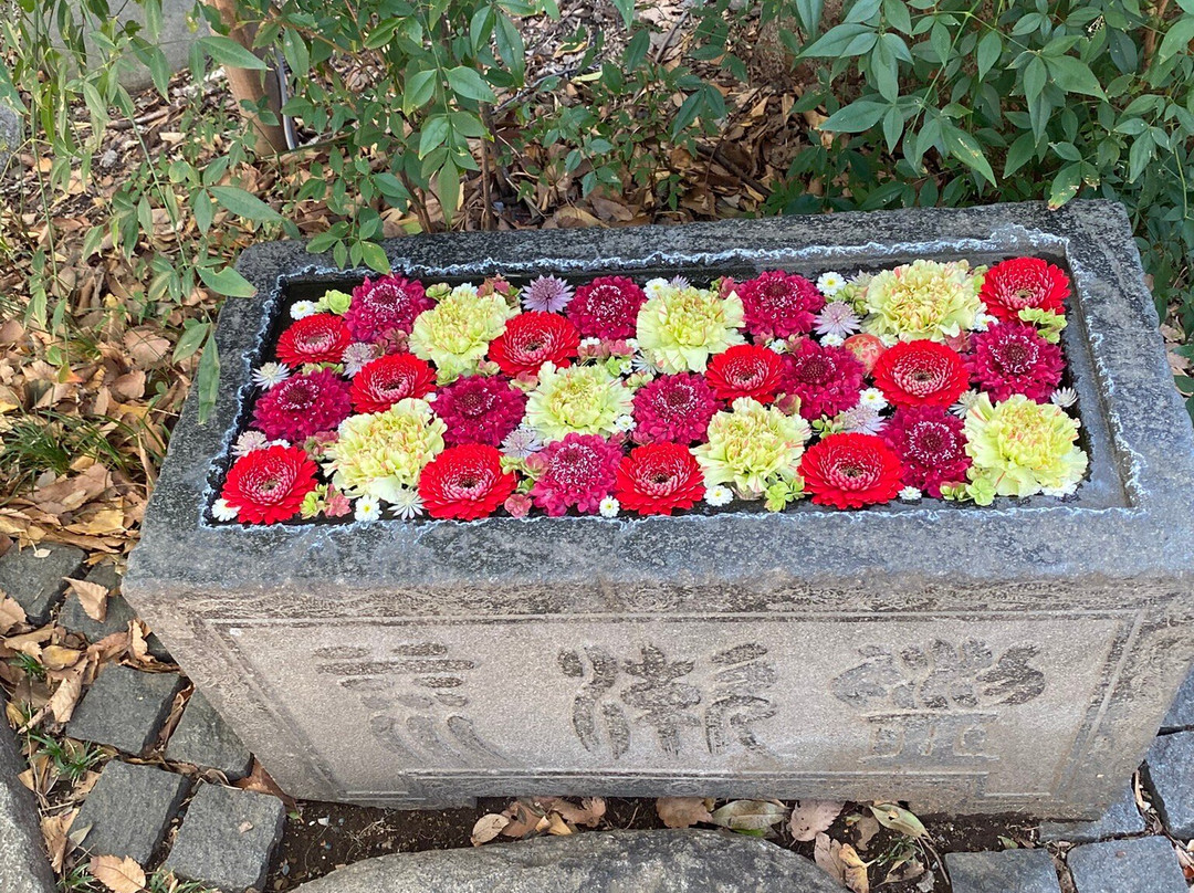 Gyodahachiman Shrine-行田市必去景点