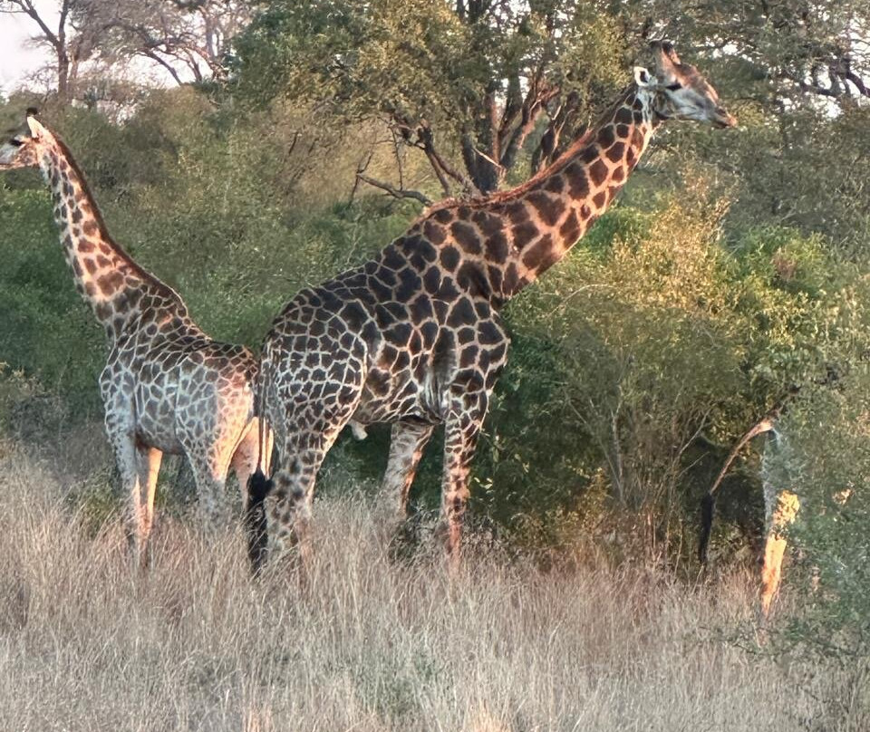 Famba Travel & Safaris-参宁必去景点