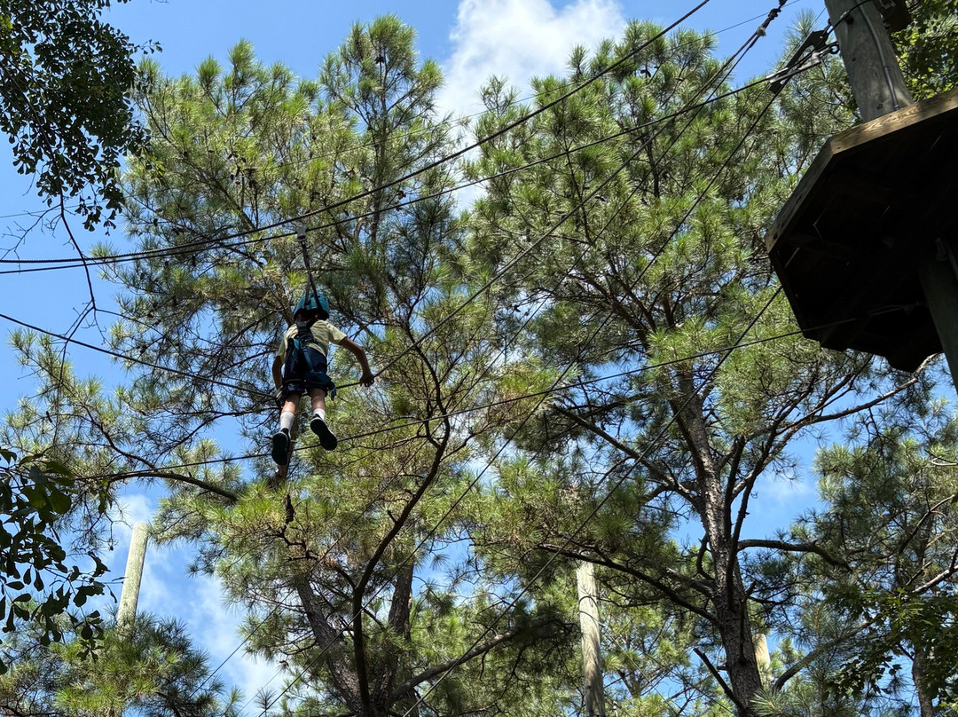 The Swamp Park-Ocean Isle Beach必去景点