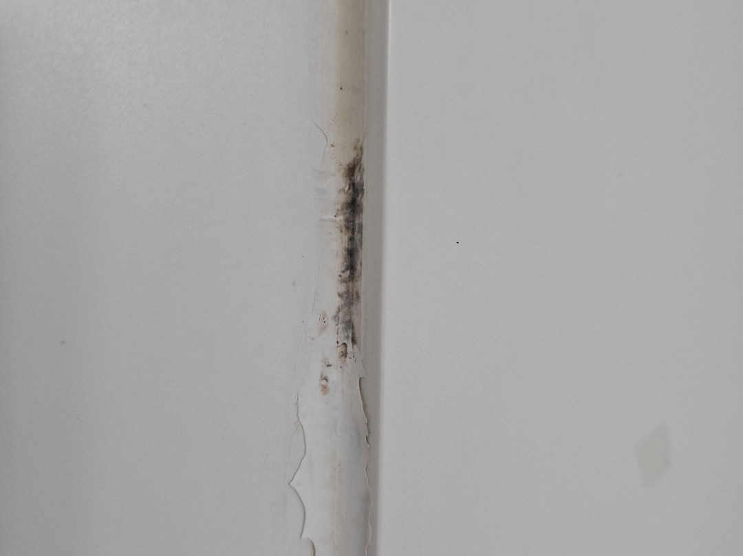 Holiday Inn Express & Suites Richmond North Ashland By IHG主图