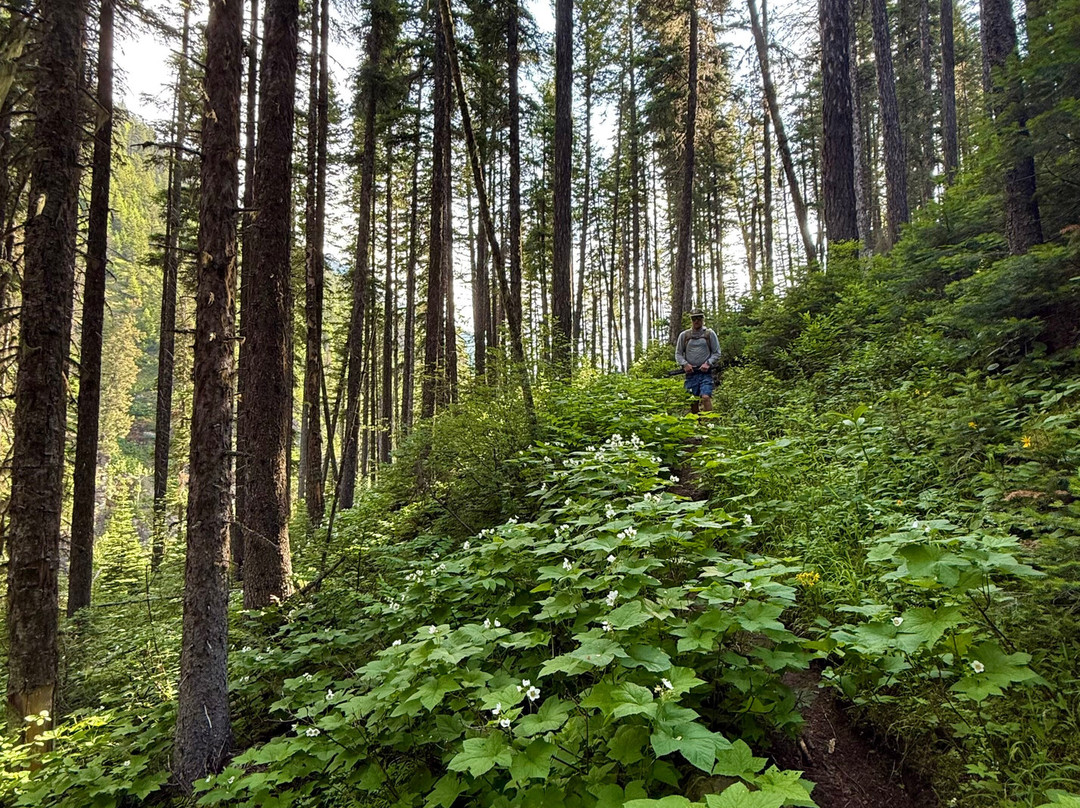 Wilderness River Outfitters-Lemhi必去景点