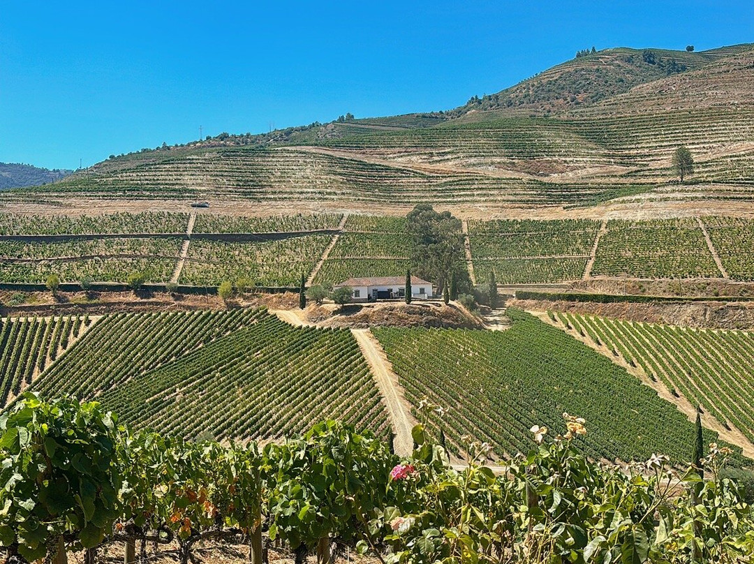 Quinta do Crasto-Sabrosa必去景点