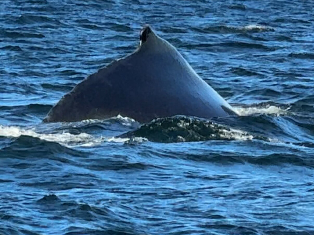 Tadoussac Autrement-泰道沙克必去景点