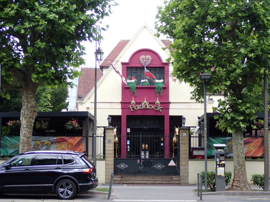 The Paddock