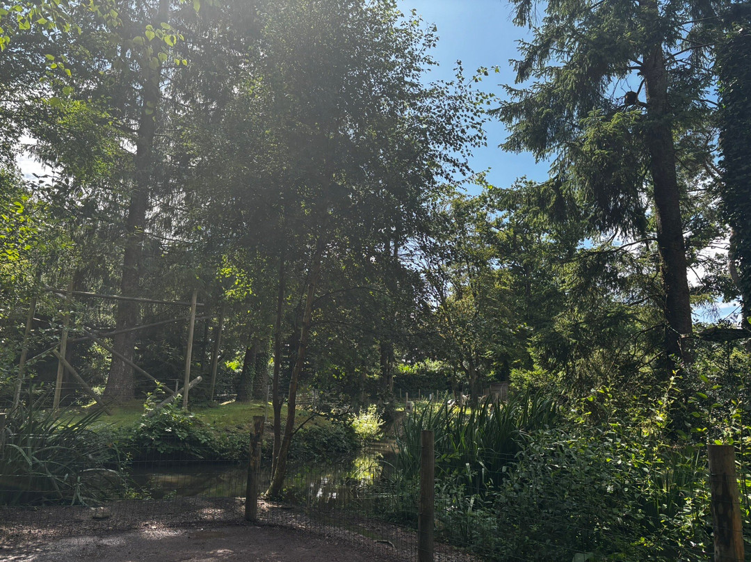 Zoo de Jurques-Jurques必去景点
