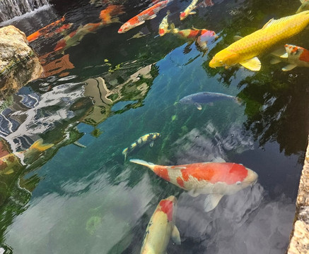 祖尔维恩斯泰吉酒店主图