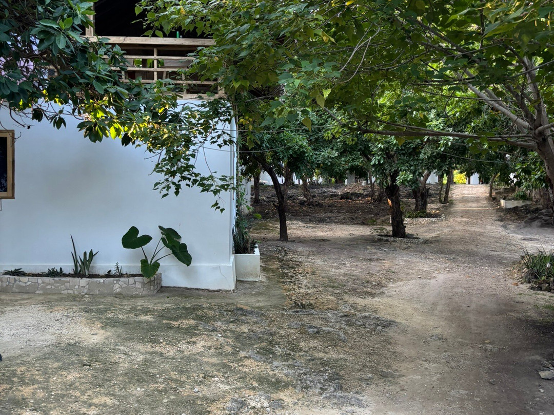 Blue Planet Dive Resort-比拉必去景点