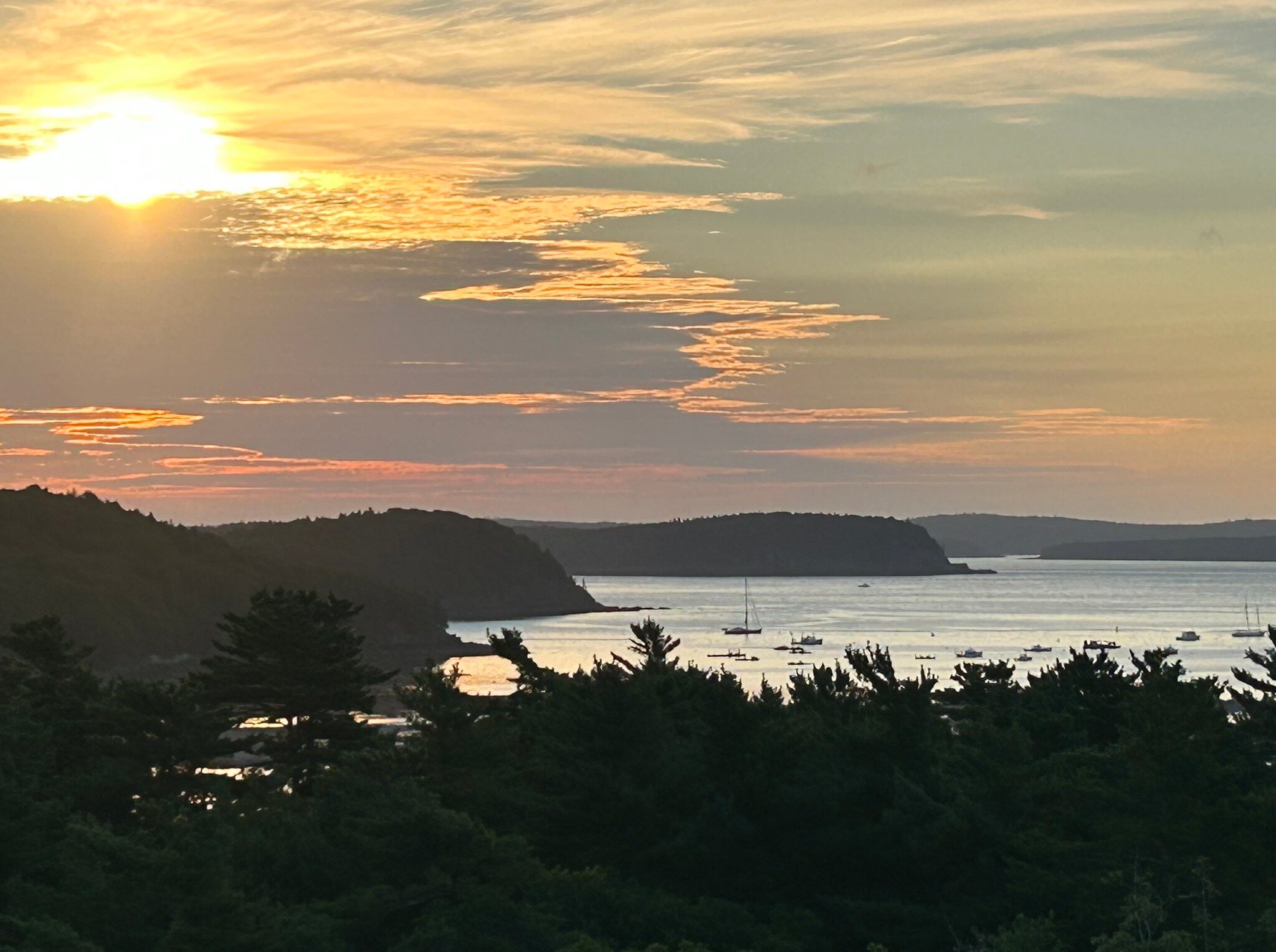 布鲁诺斯巴港酒店-官方