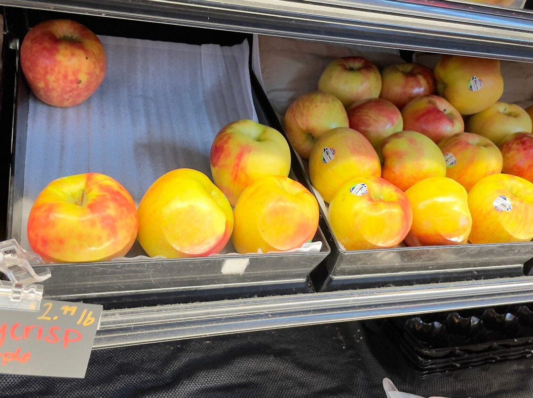 Pybus Public Market-韦纳奇必去景点