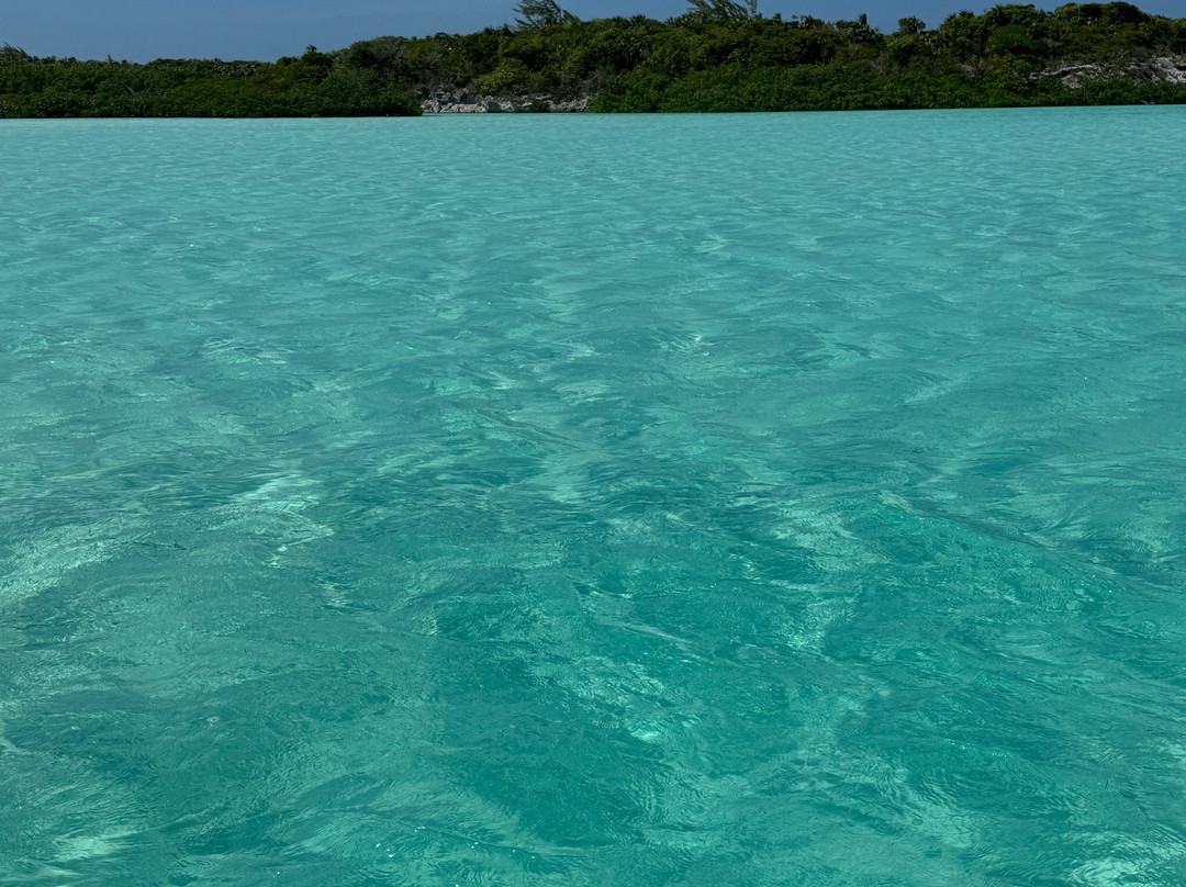 The Cays to Exuma-George Town必去景点