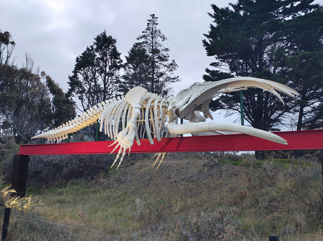 Fundación Ecocentro-马德林港必去景点