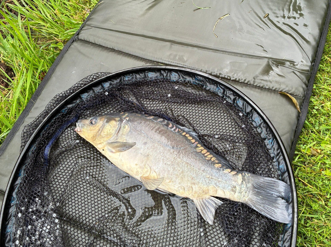 Asfordby Carp Pools & Storage-梅尔顿莫布雷必去景点